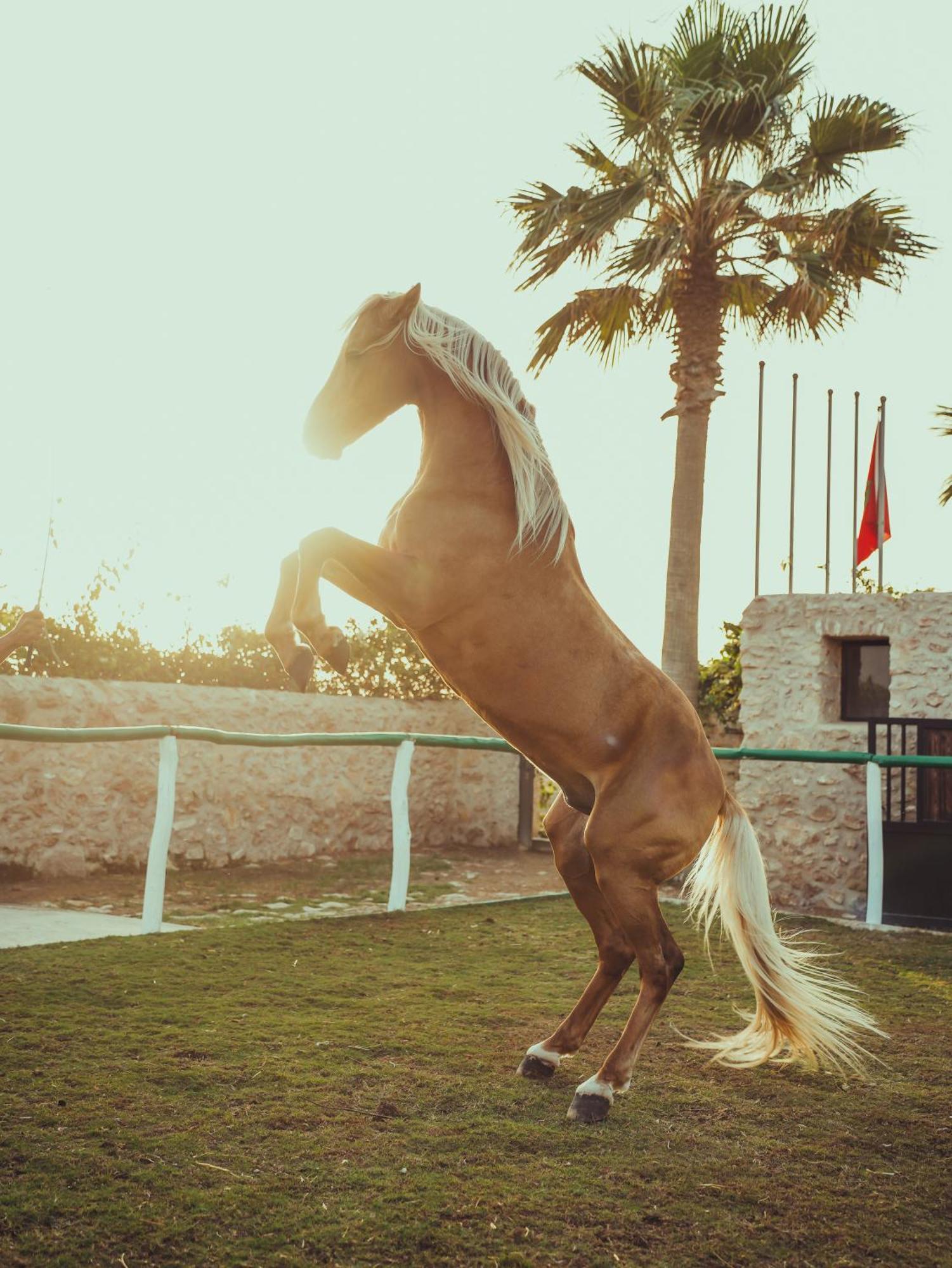 Baberrih Hotel Hospitality Palaces & Resorts Essaouira Bagian luar foto